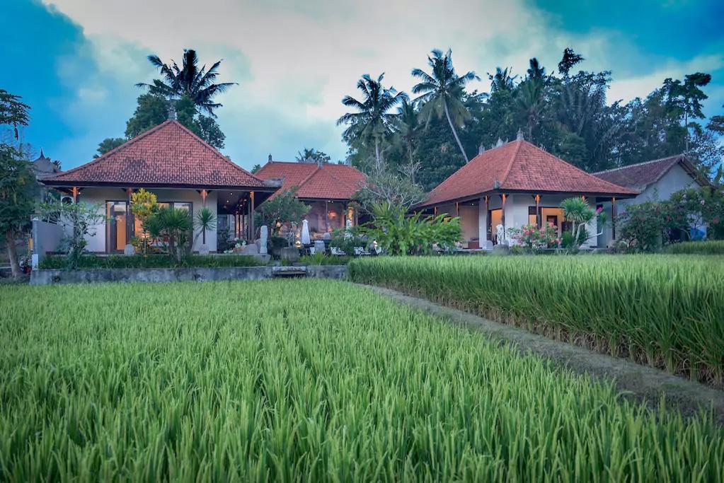 Villa Heron Ubud Exteriér fotografie